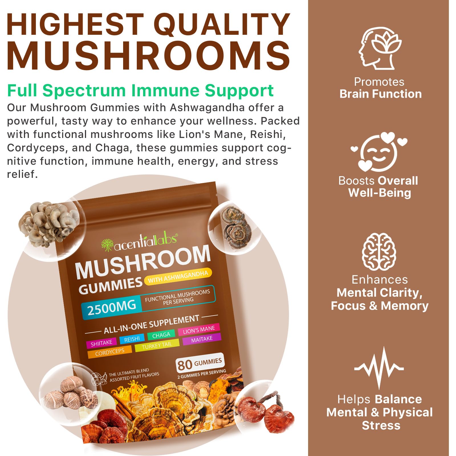 newseel mushroom complex gummies closeup highlighting natural ingredients supporting cognitive function