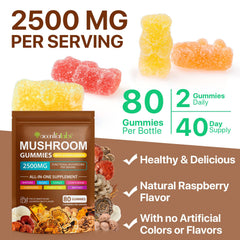 newseel Reishi Cordyceps gummies pack emphasizes immune-supporting adaptogenic blend