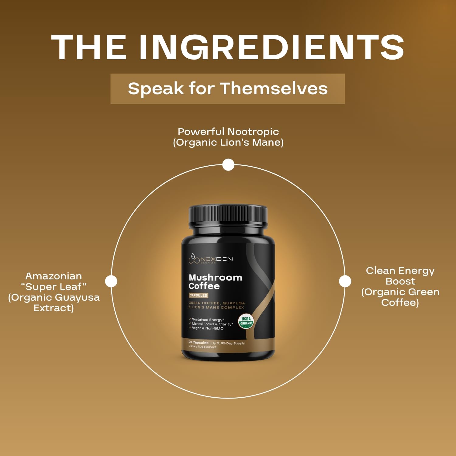 Mushroom blend visual emphasizing cognitive support and antioxidants