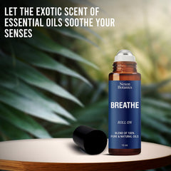 Nexon Botanics Breathe Roll-On ingredient palette highlighting eucalyptus, peppermint, rosemary aroma for clarity.