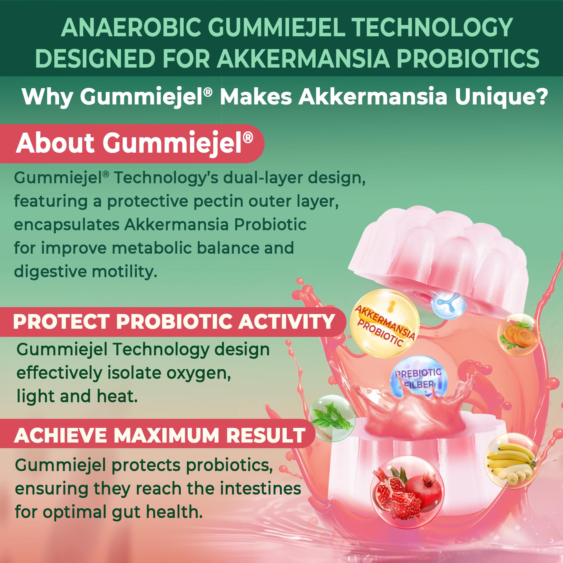 Product packaging display of Nextdia Akkermansia gummies