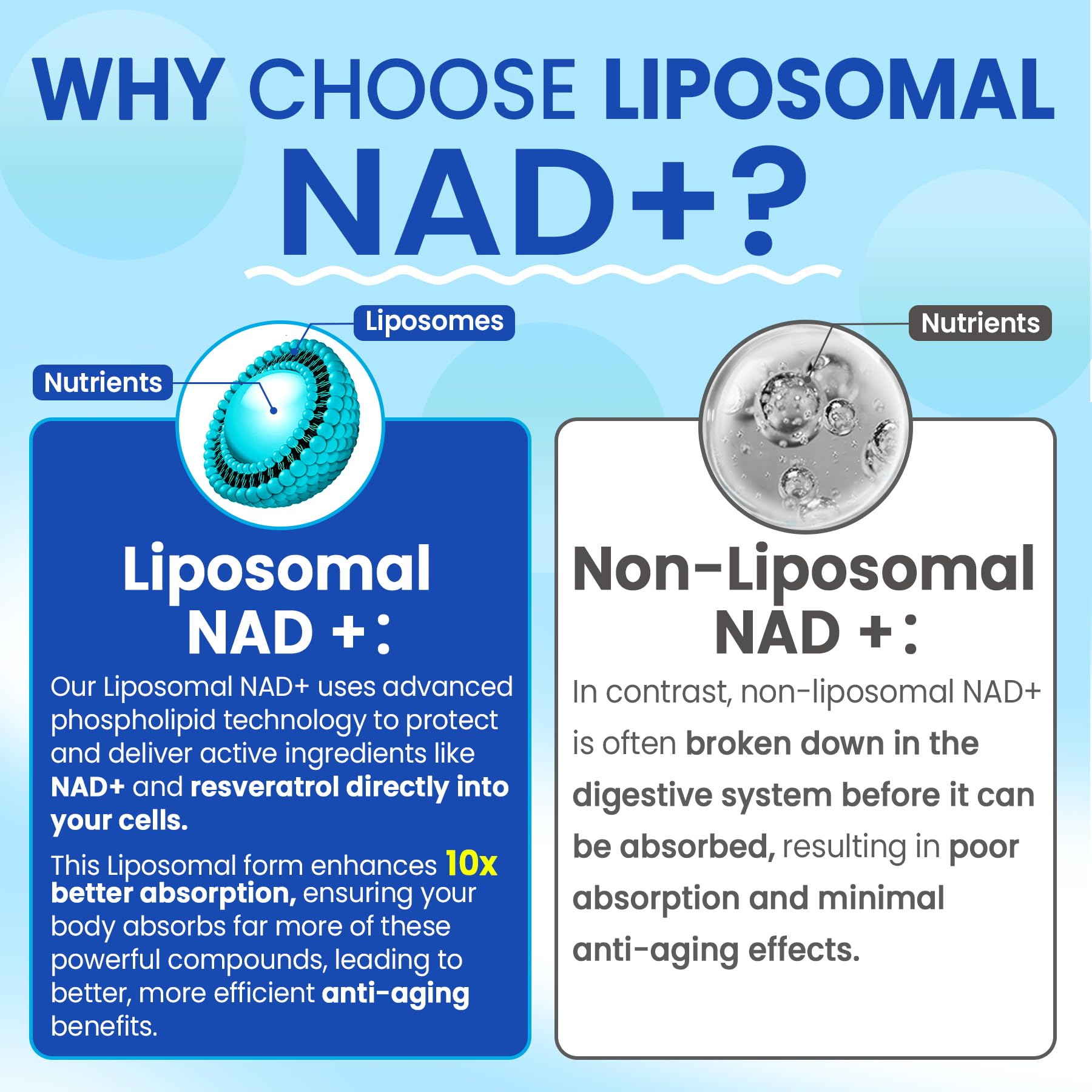 Close look at copper and quercetin ingredients in Nextdia Nad+ formula