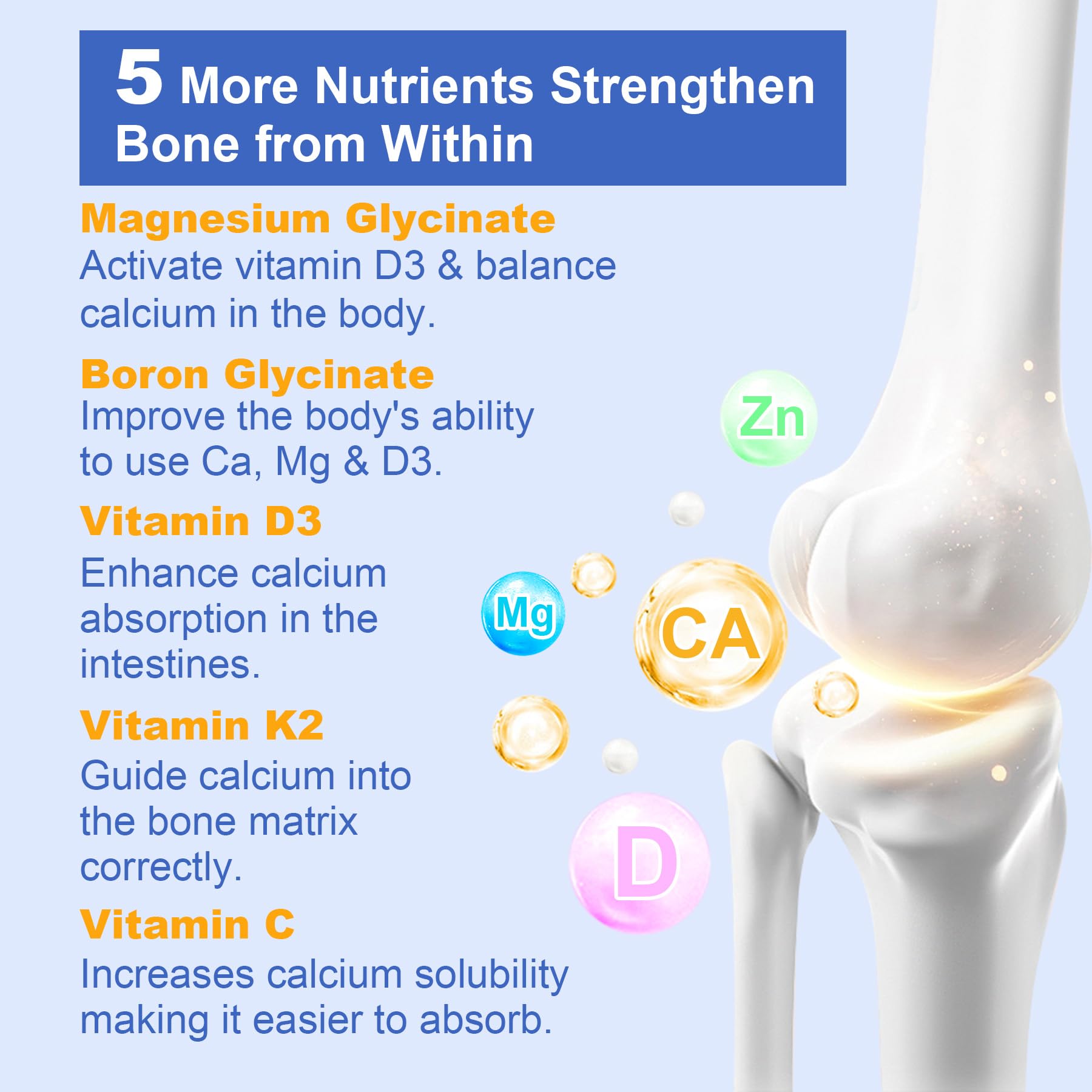 Nextdia probiotic strains graphic emphasizing gut support for absorption