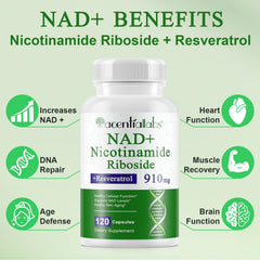 NIFEISHI NAD pouring capsules for easy daily energy routine