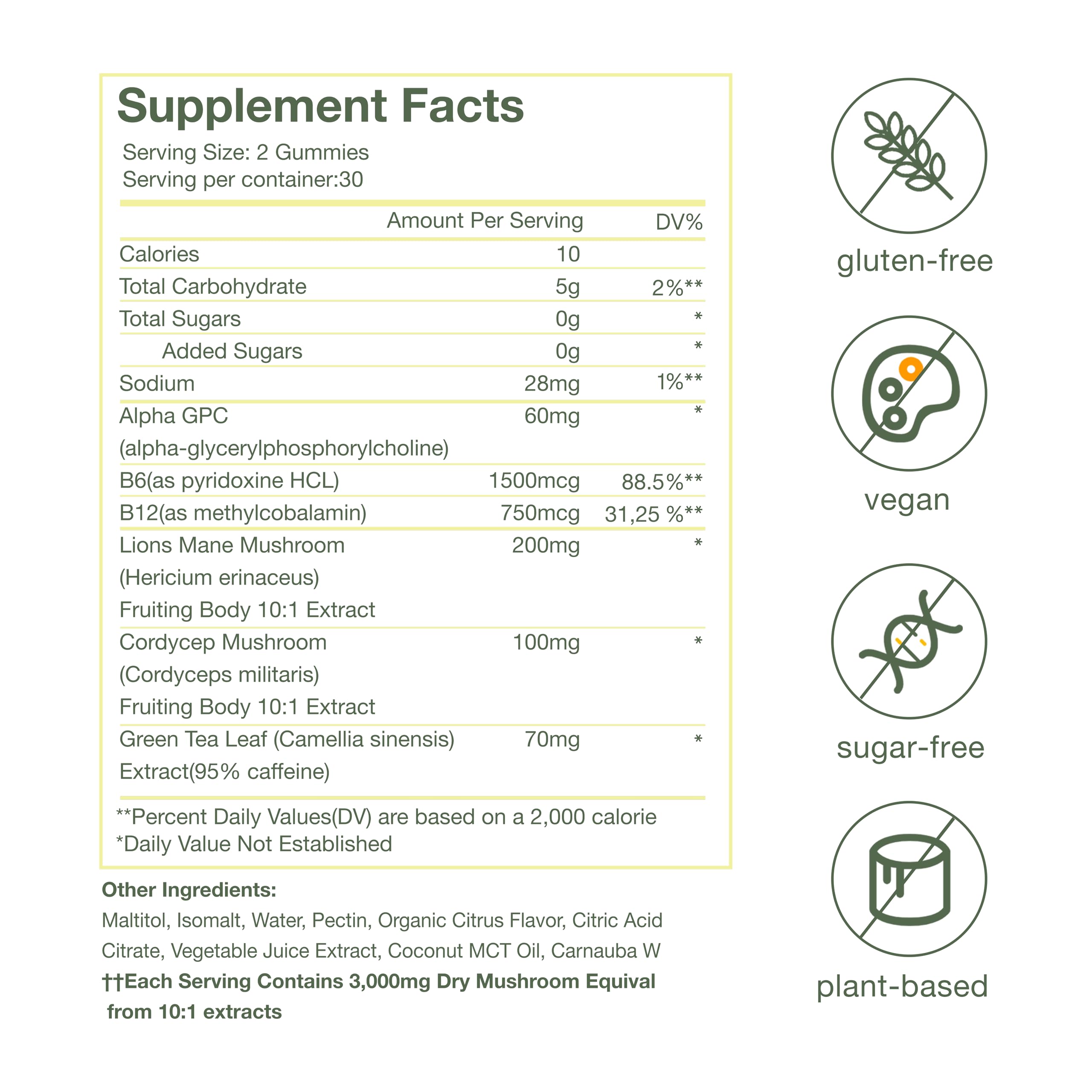 Nika Aiko Focus Mushroom Gummies brain illustration emphasizes cognitive support potential.