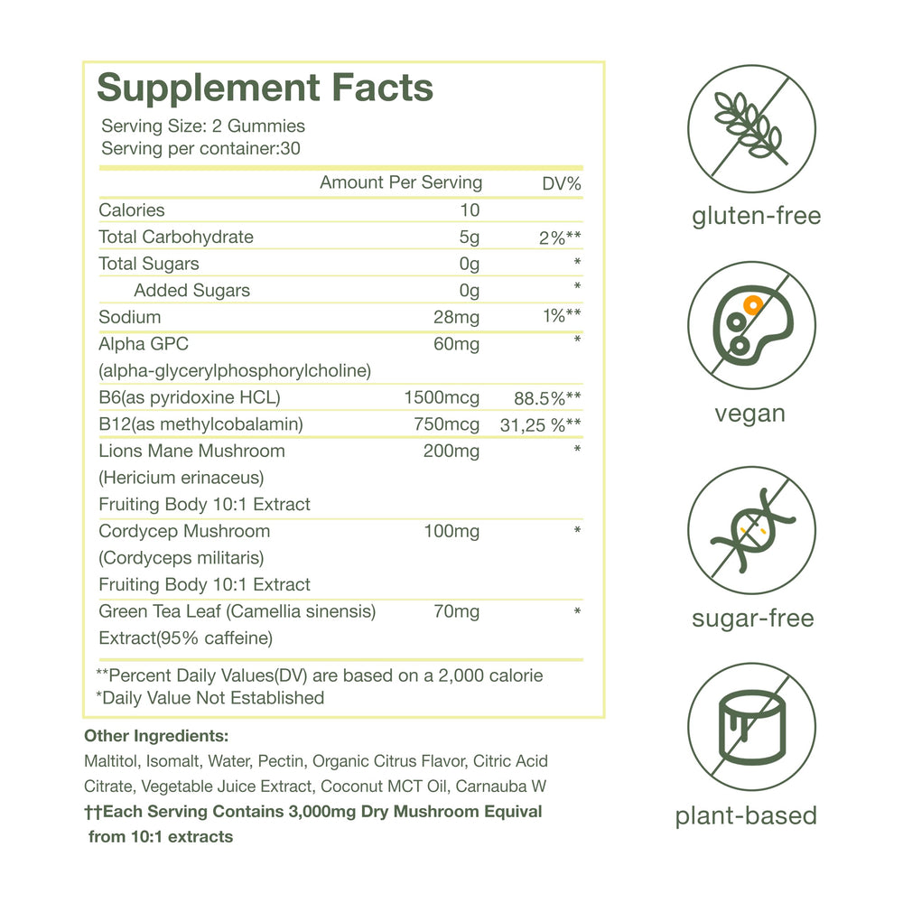 Nika Aiko Focus Mushroom Gummies brain illustration emphasizes cognitive support potential.