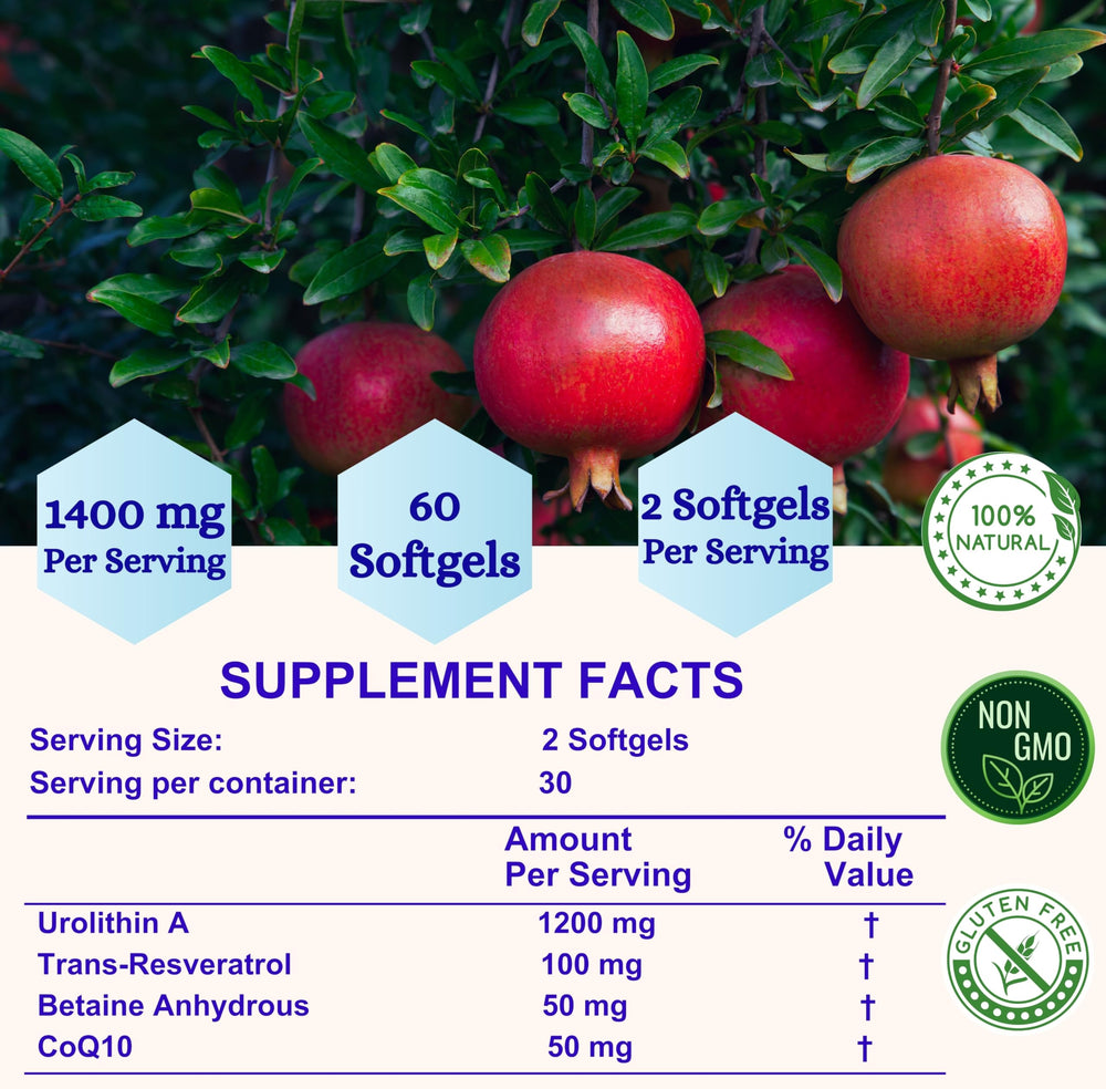 Nikoni Liposomal Urolithin-A energy-boost concept for daily vitality alongside activity.