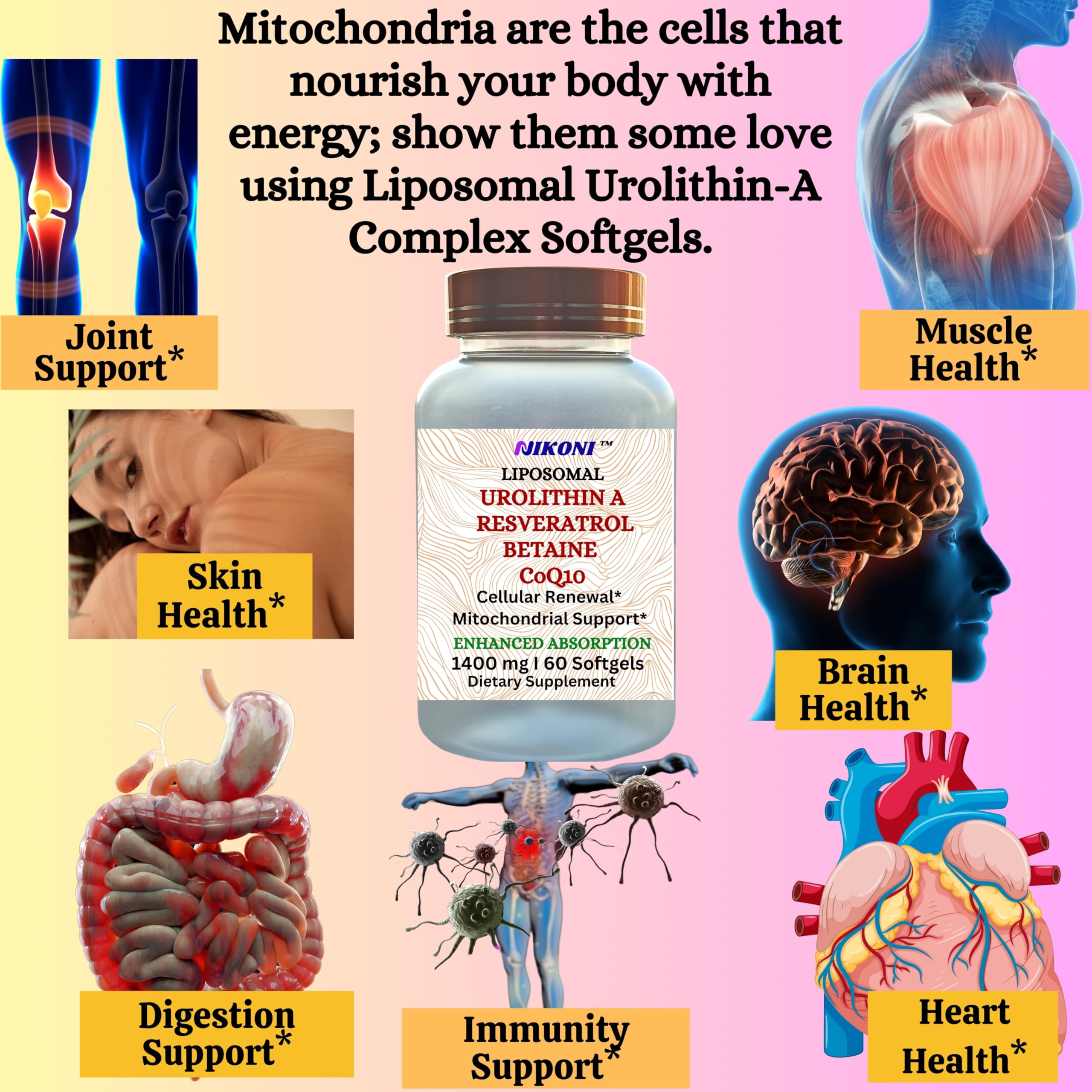 Nikoni Liposomal Urolithin-A premium formula label communicates purity and effectiveness.