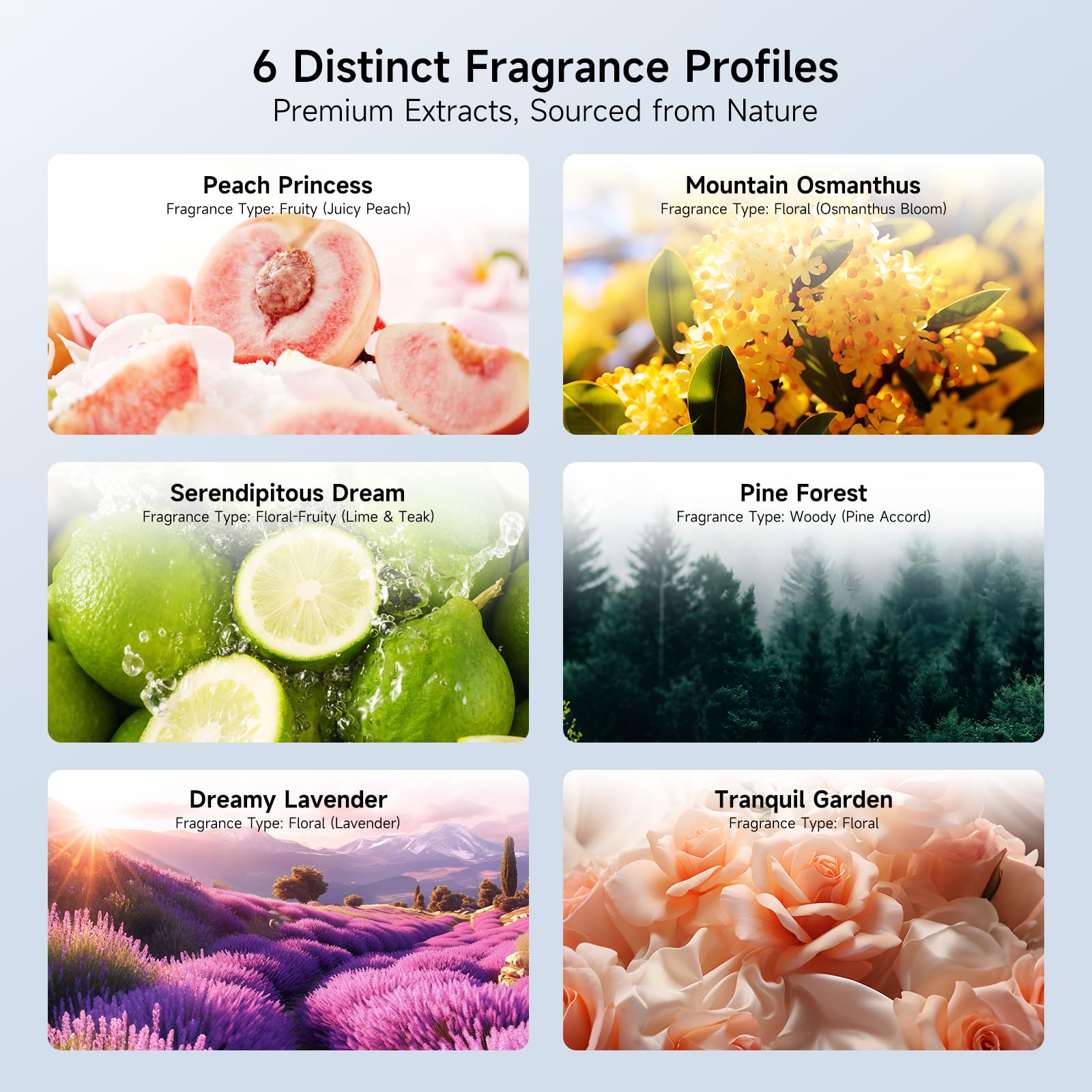 Six-oil set included with the Nimin diffuser for instant aromatherapy