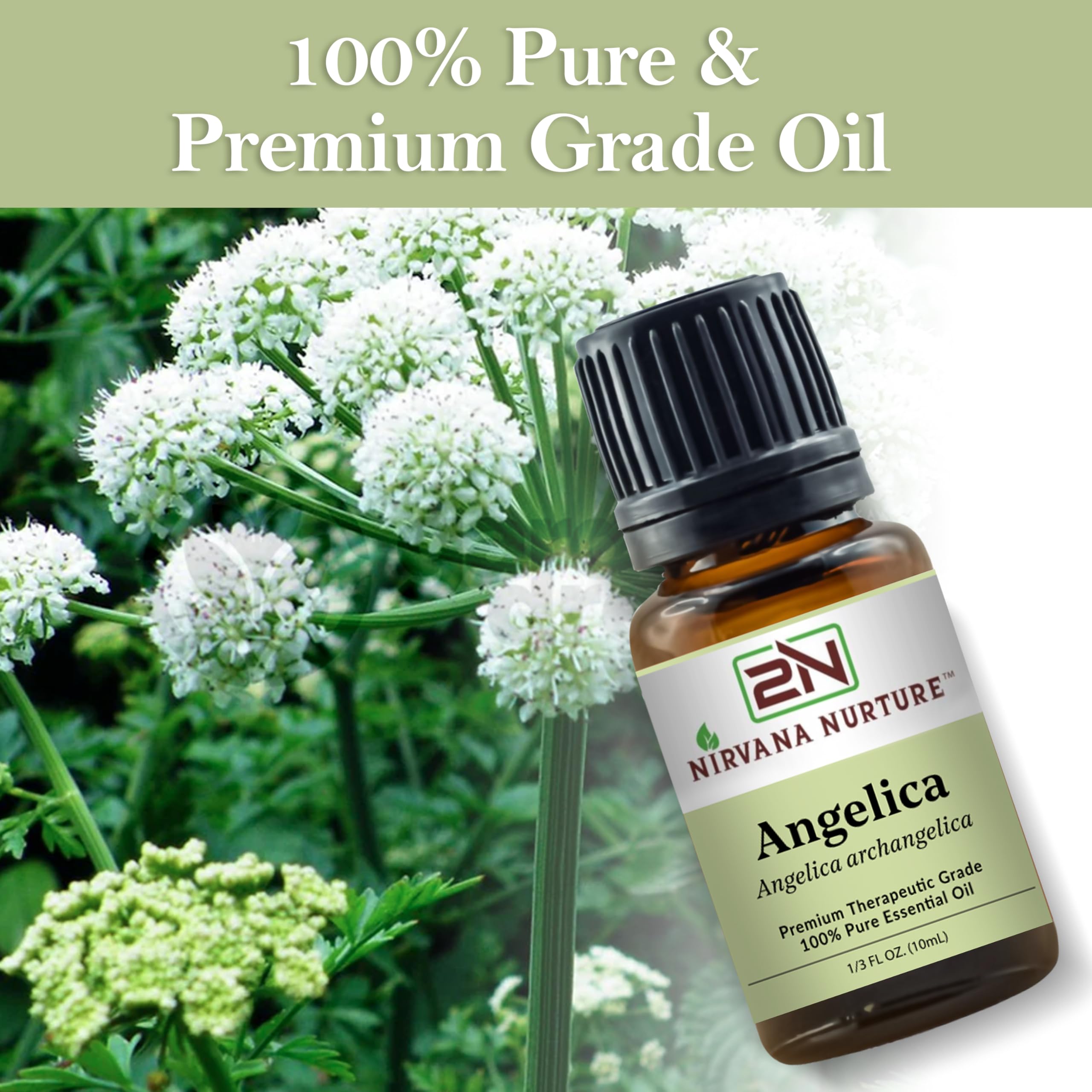 Nirvana Nurture Angelica Essential Oil in hair care application