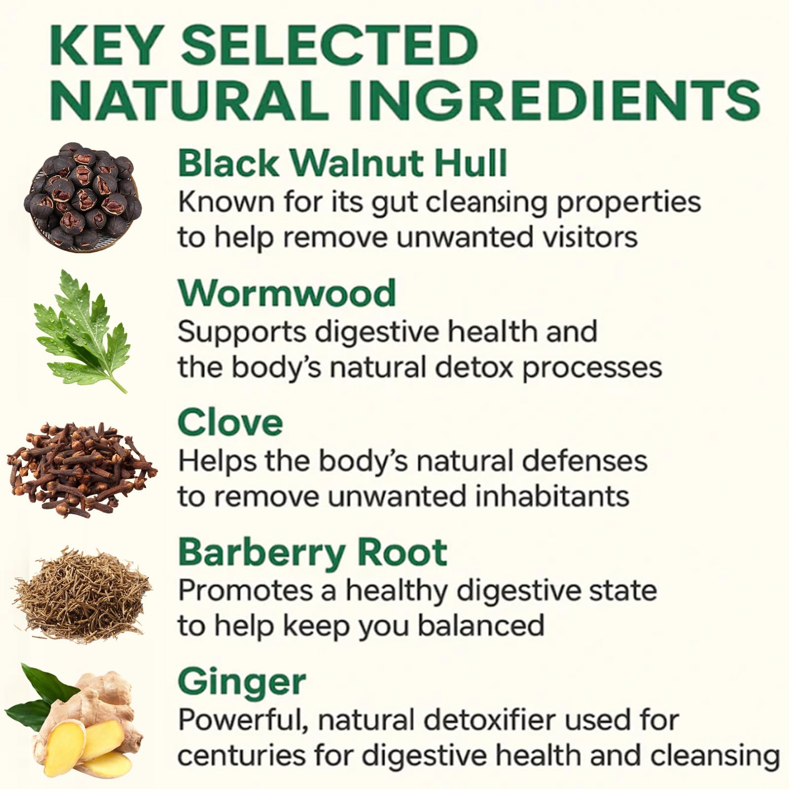 Nitidissima Wellvia herbal blend bottle closeup highlights plant-based support.