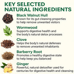 Nitidissima Wellvia herbal blend bottle closeup highlights plant-based support.