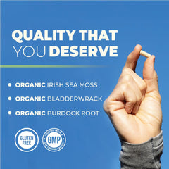 Nobi Nutrition sea moss capsules bottle label closeup with organic ingredients