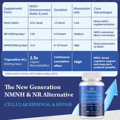 Bottle on table highlights easy intake and on-the-go support for energy.