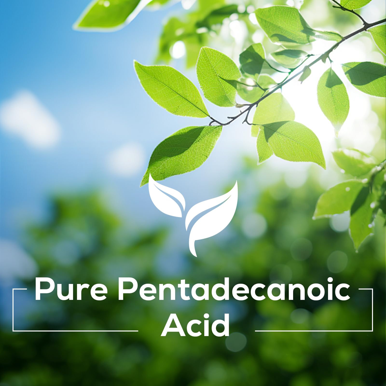 Nokuba Pentadecanoic Acid bottle shown for travel and daily use.