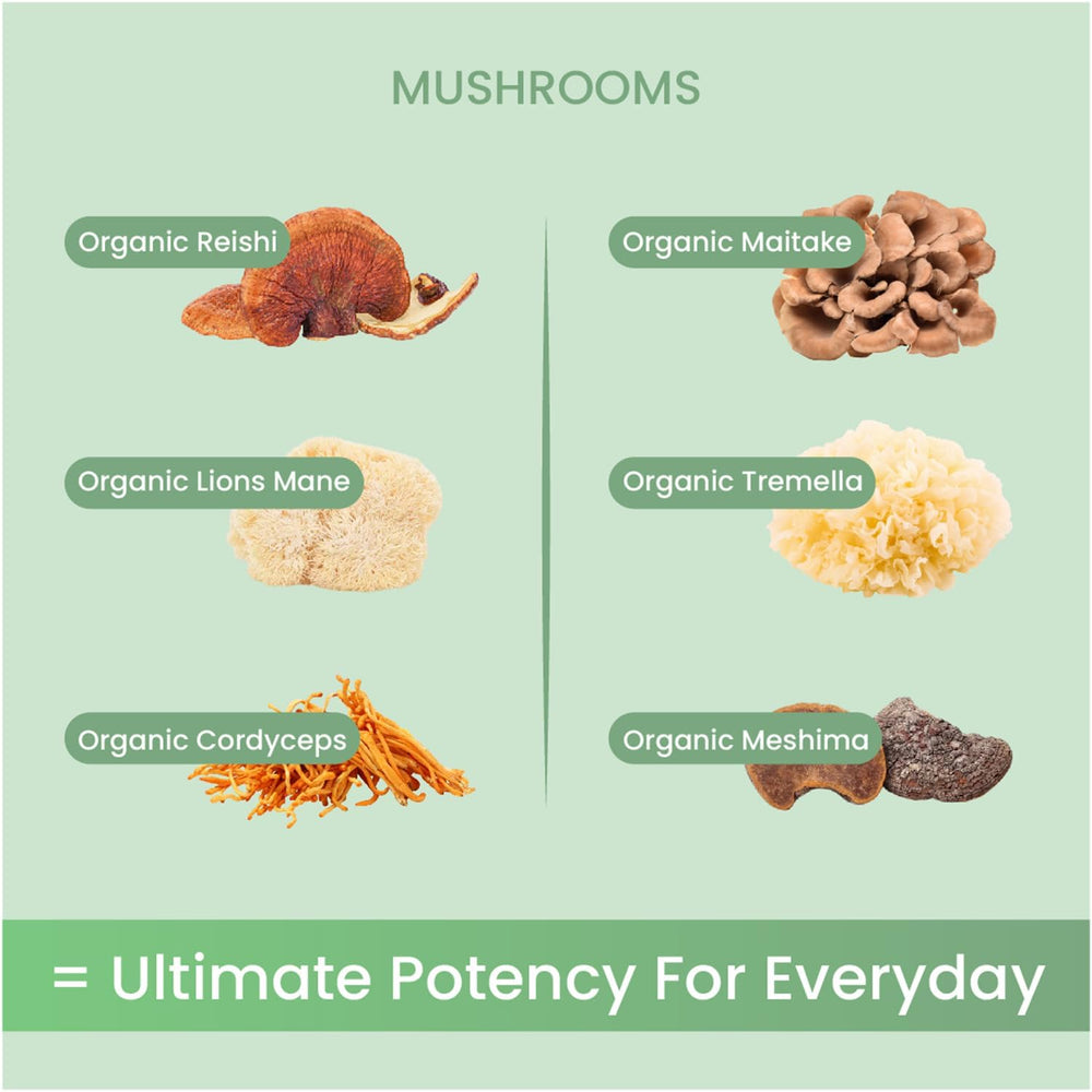 Non Fungible Mushrooms Life Daily powder in tea cup for a calming ritual.