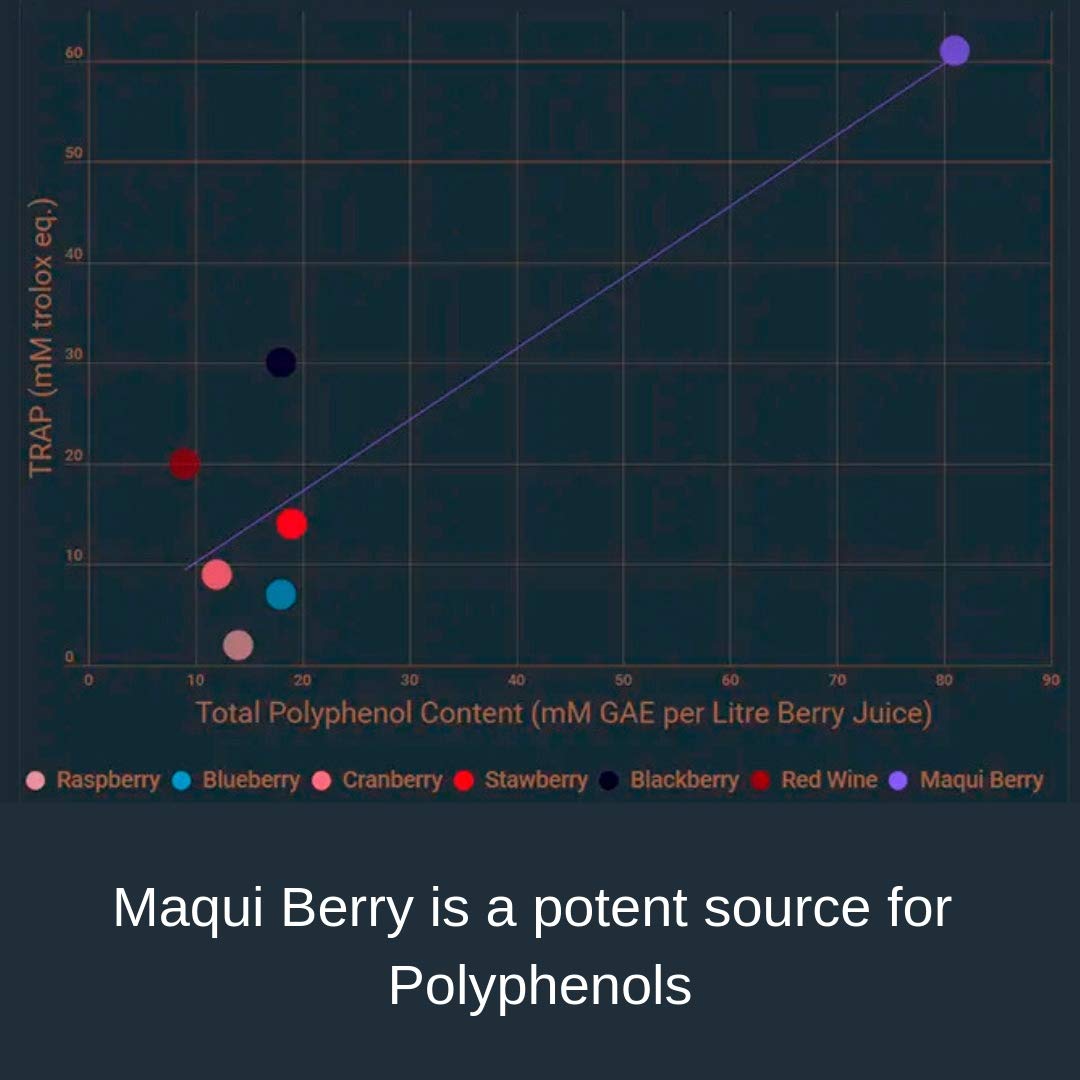 Noomadic Maqui Berry pictured in a calm morning setting for daily wellness