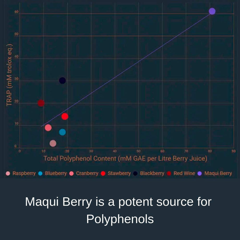 Noomadic Maqui Berry pictured in a calm morning setting for daily wellness