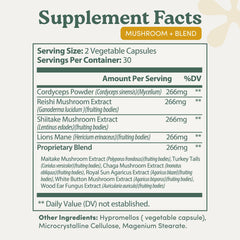 Nootrimind Lions Mane bottle shot emphasizes cognitive focus potential.