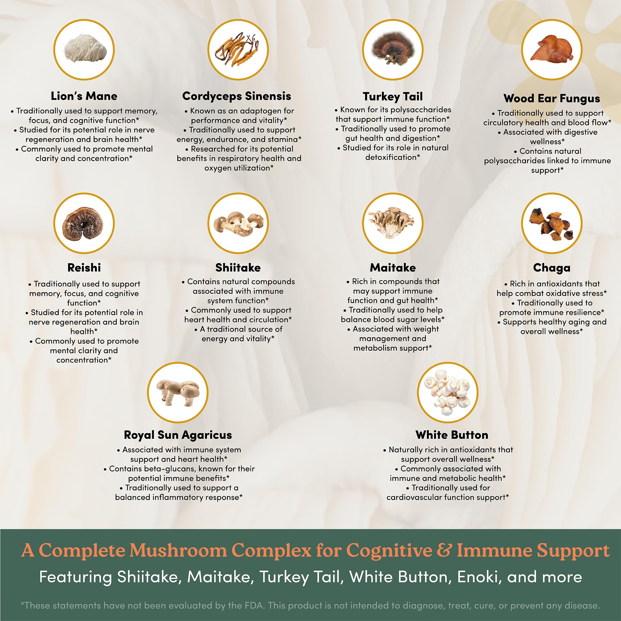 Nootrimind Turkey Tail tablet glow implies immune resilience.