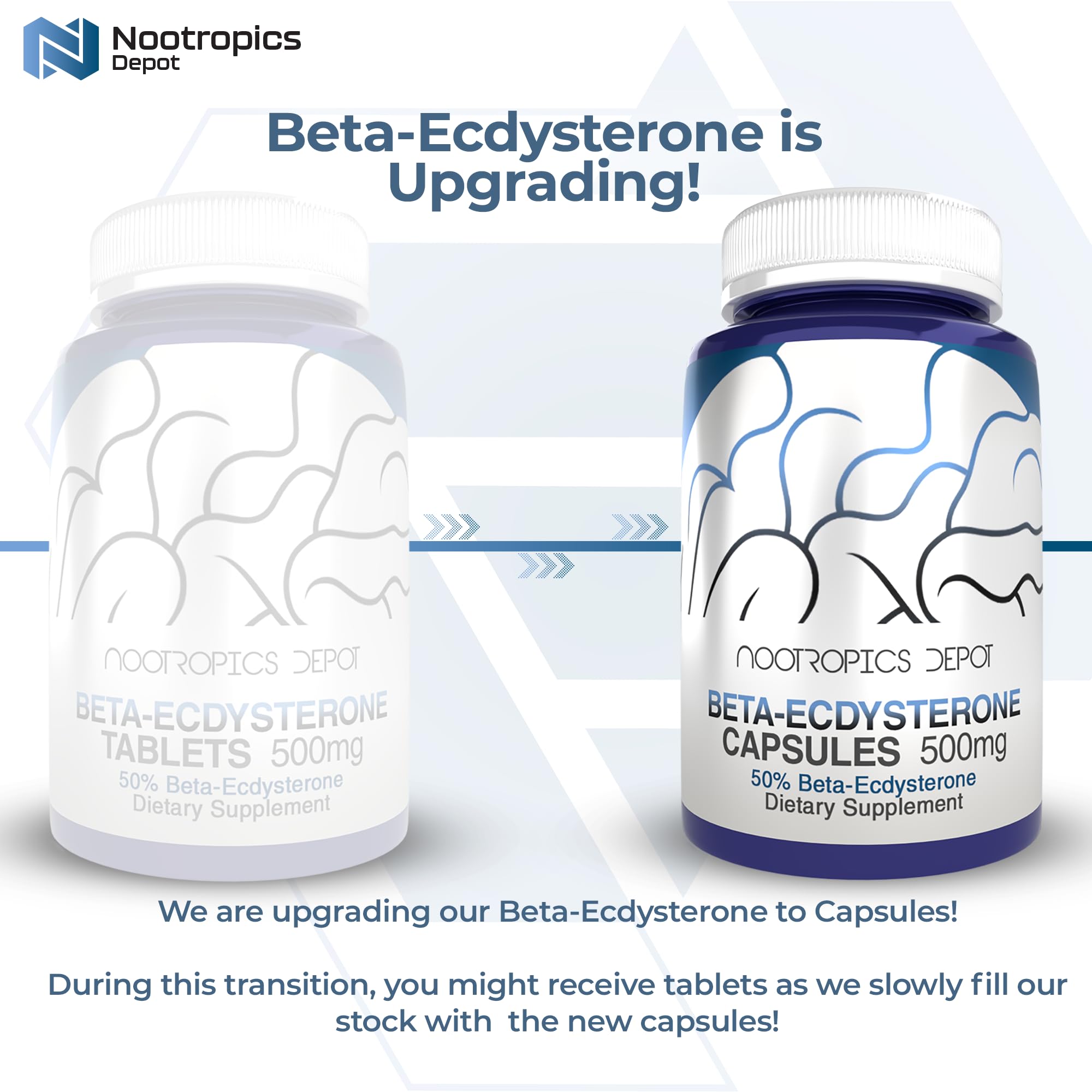Nootropics Depot Beta Ecdysterone bottle close-up emphasizing product quality