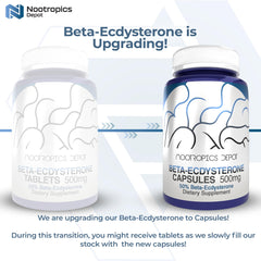 Nootropics Depot Beta Ecdysterone bottle close-up emphasizing product quality