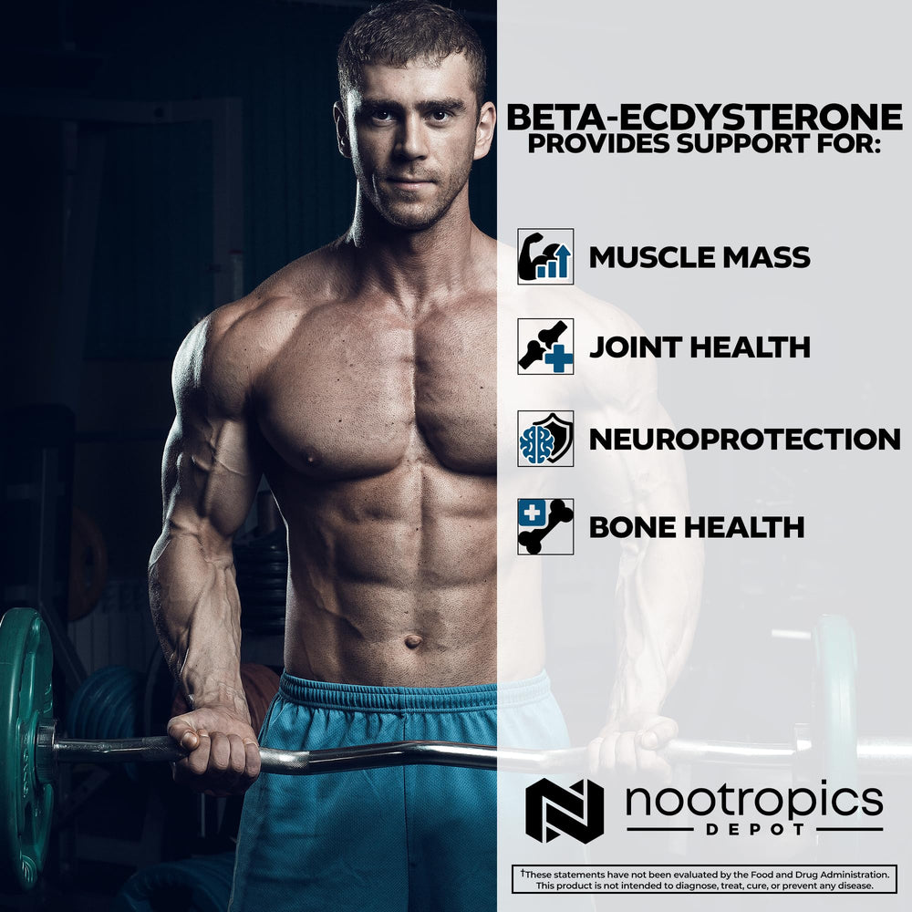 Nootropics Depot Beta Ecdysterone capsules open showing dosage size