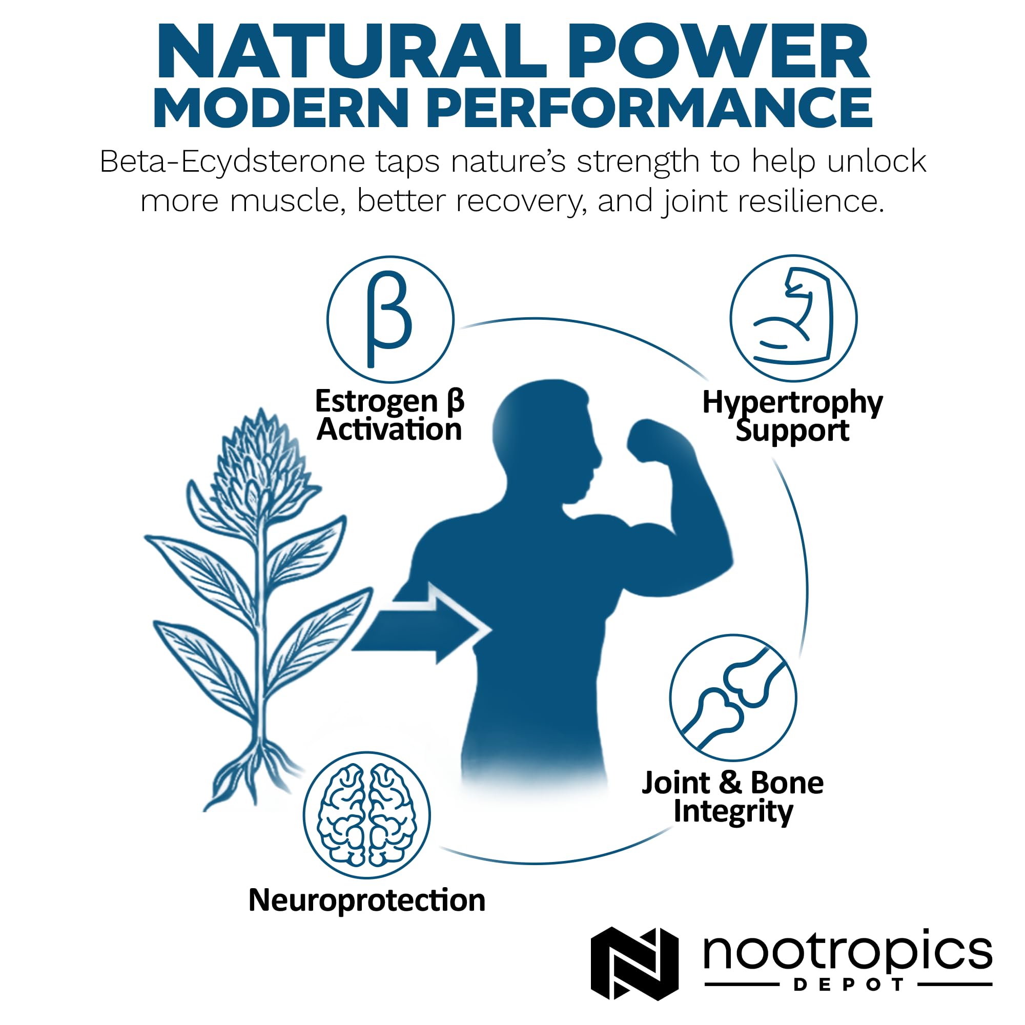 Nootropics Depot Beta Ecdysterone lab-tested certificate image