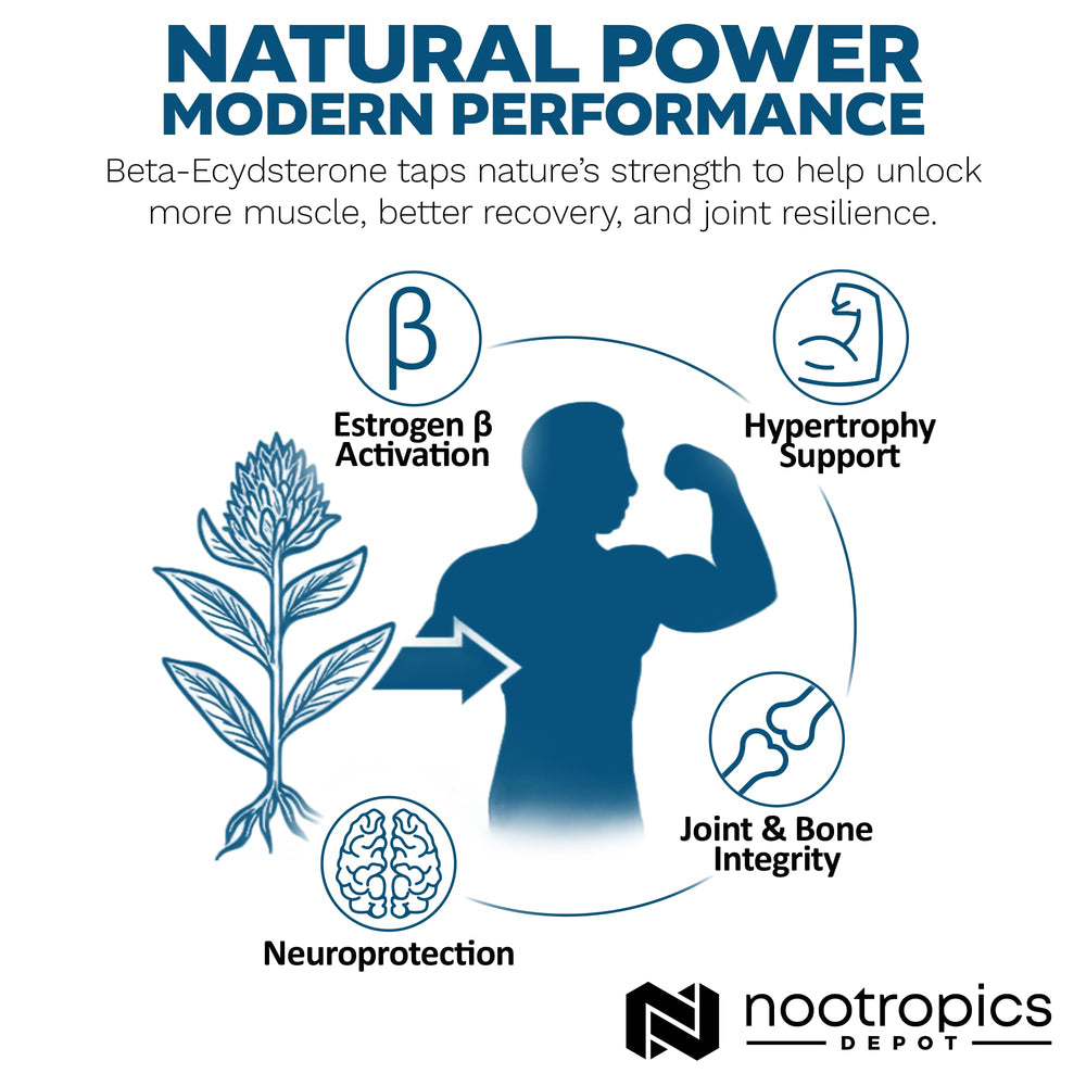 Nootropics Depot Beta Ecdysterone lab-tested certificate image