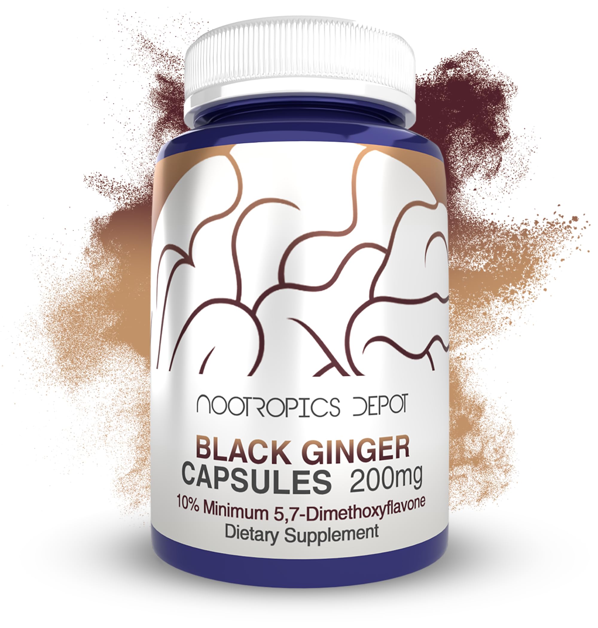 Nootropics Depot Black Ginger Extract Capsules bottle front highlighting potency for energy support.