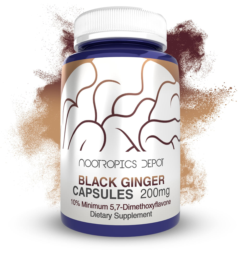 Nootropics Depot Black Ginger Extract Capsules bottle front highlighting potency for energy support.