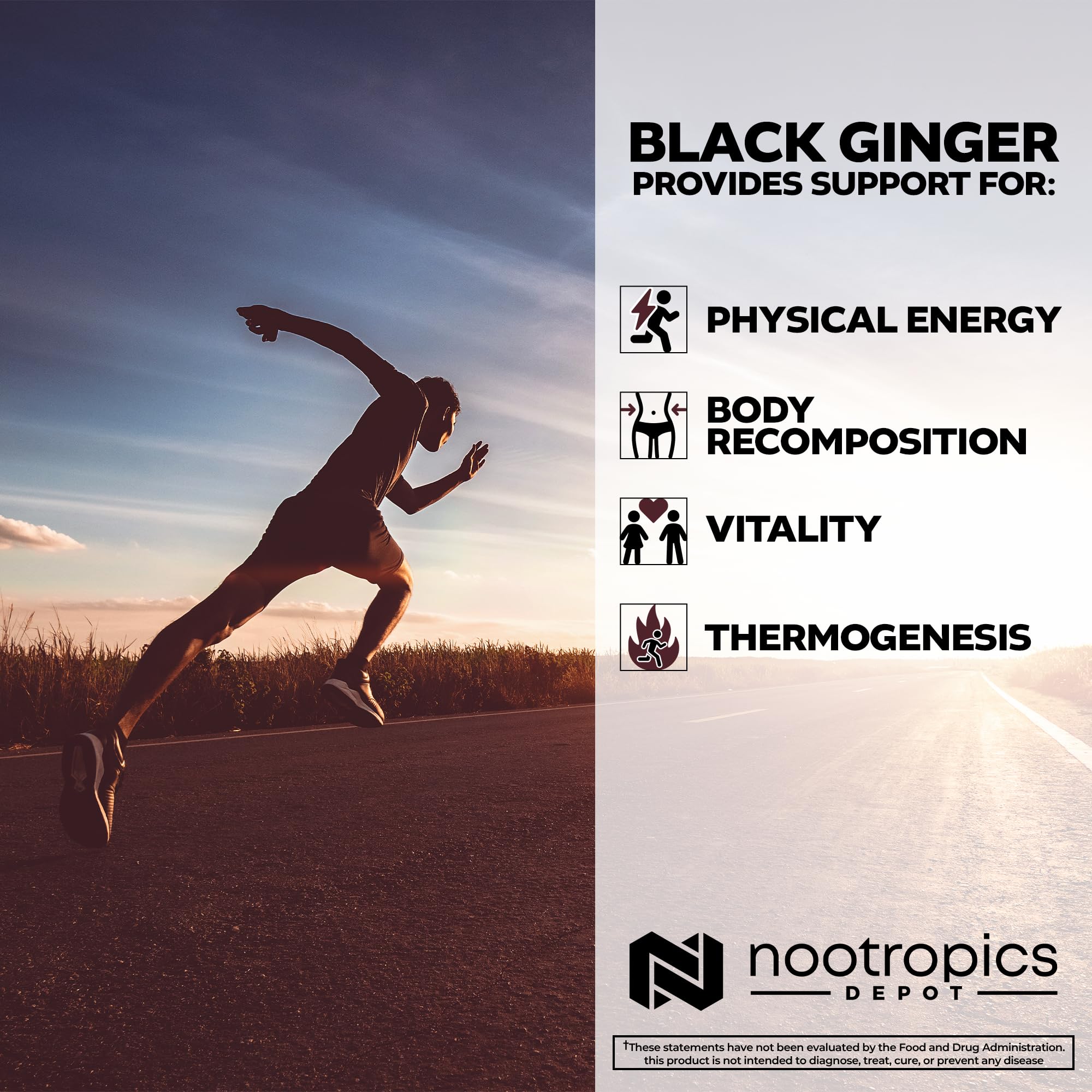 Nootropics Depot Black Ginger Extract Capsules bottle side view highlighting 60-count package for ongoing vitality.