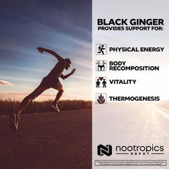Nootropics Depot Black Ginger Extract Capsules bottle side view highlighting 60-count package for ongoing vitality.