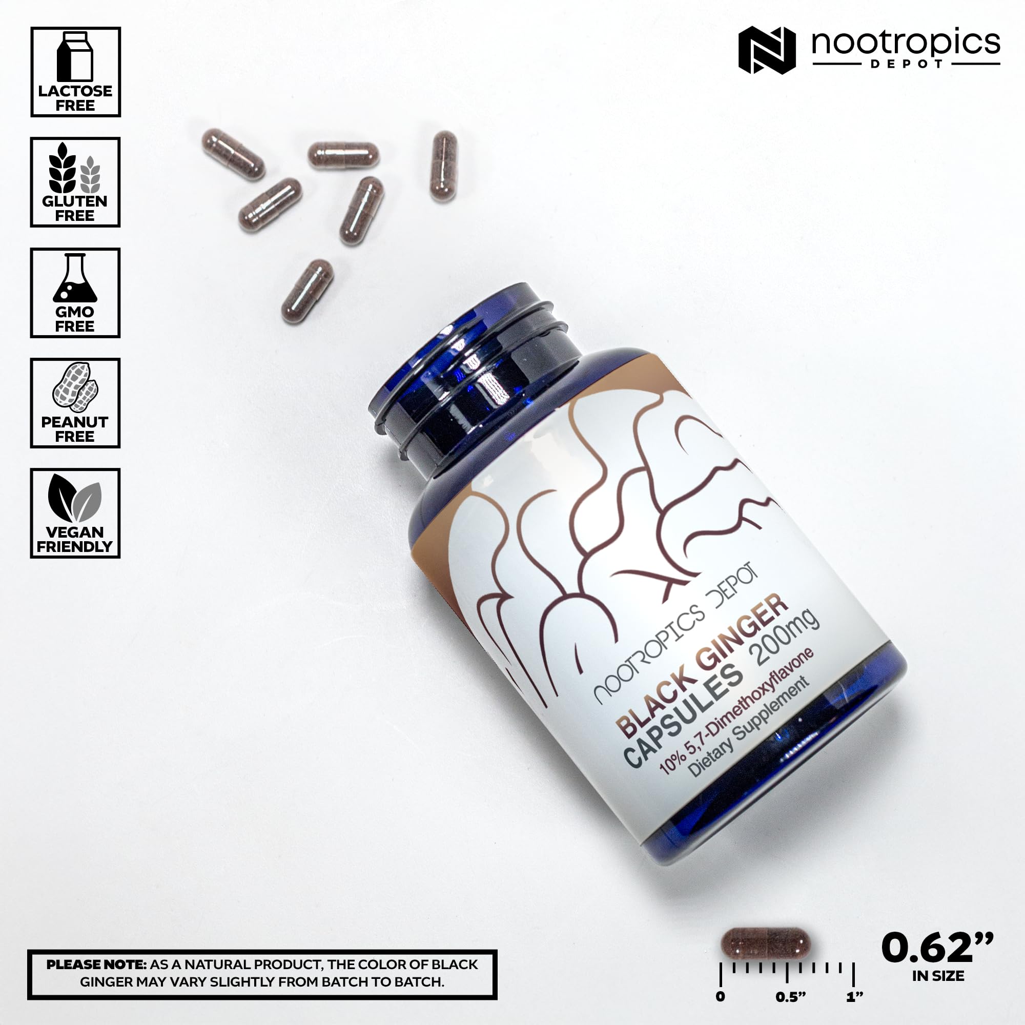 Nootropics Depot Black Ginger Extract Capsules poured, suggesting convenient daily use for sustained energy.