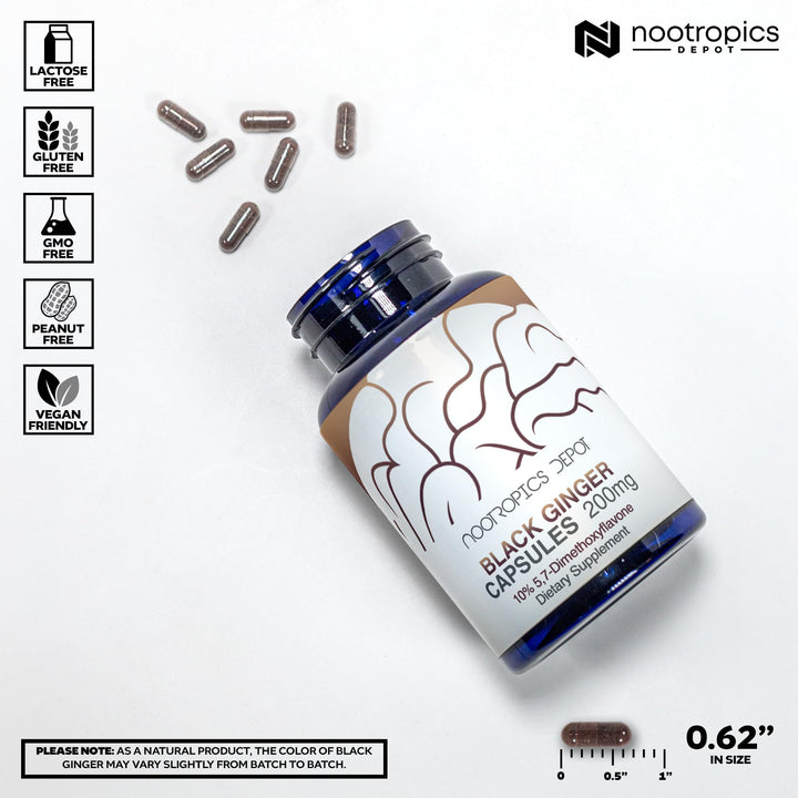 Nootropics Depot Black Ginger Extract Capsules poured, suggesting convenient daily use for sustained energy.