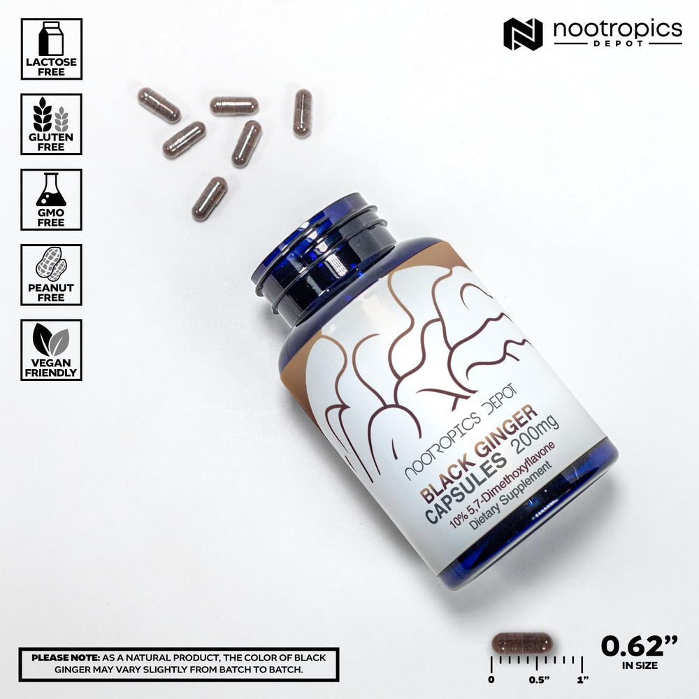 Nootropics Depot Black Ginger Extract Capsules poured, suggesting convenient daily use for sustained energy.