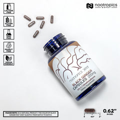 Nootropics Depot Black Ginger Extract Capsules poured, suggesting convenient daily use for sustained energy.