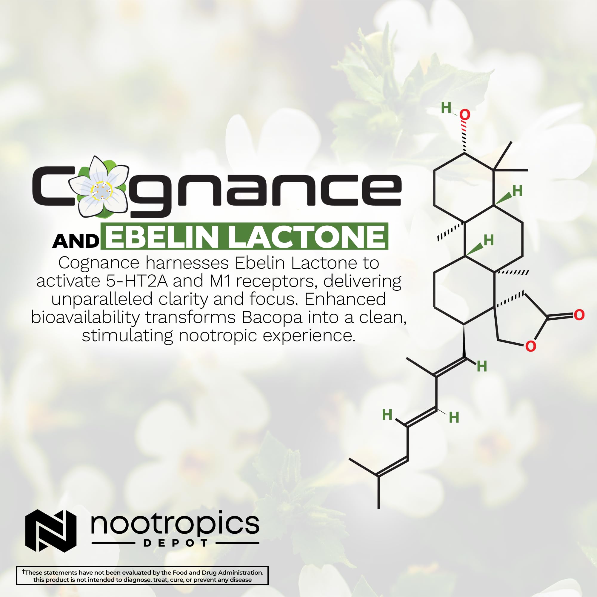 Nootropics Depot Cognance capsules in hand, practical cognitive support imagery.