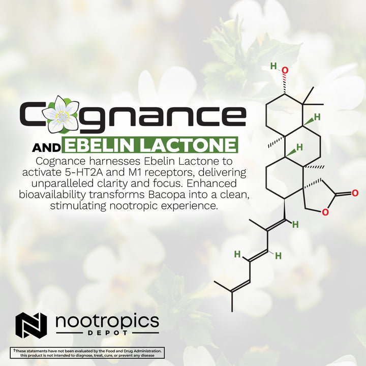 Nootropics Depot Cognance capsules in hand, practical cognitive support imagery.