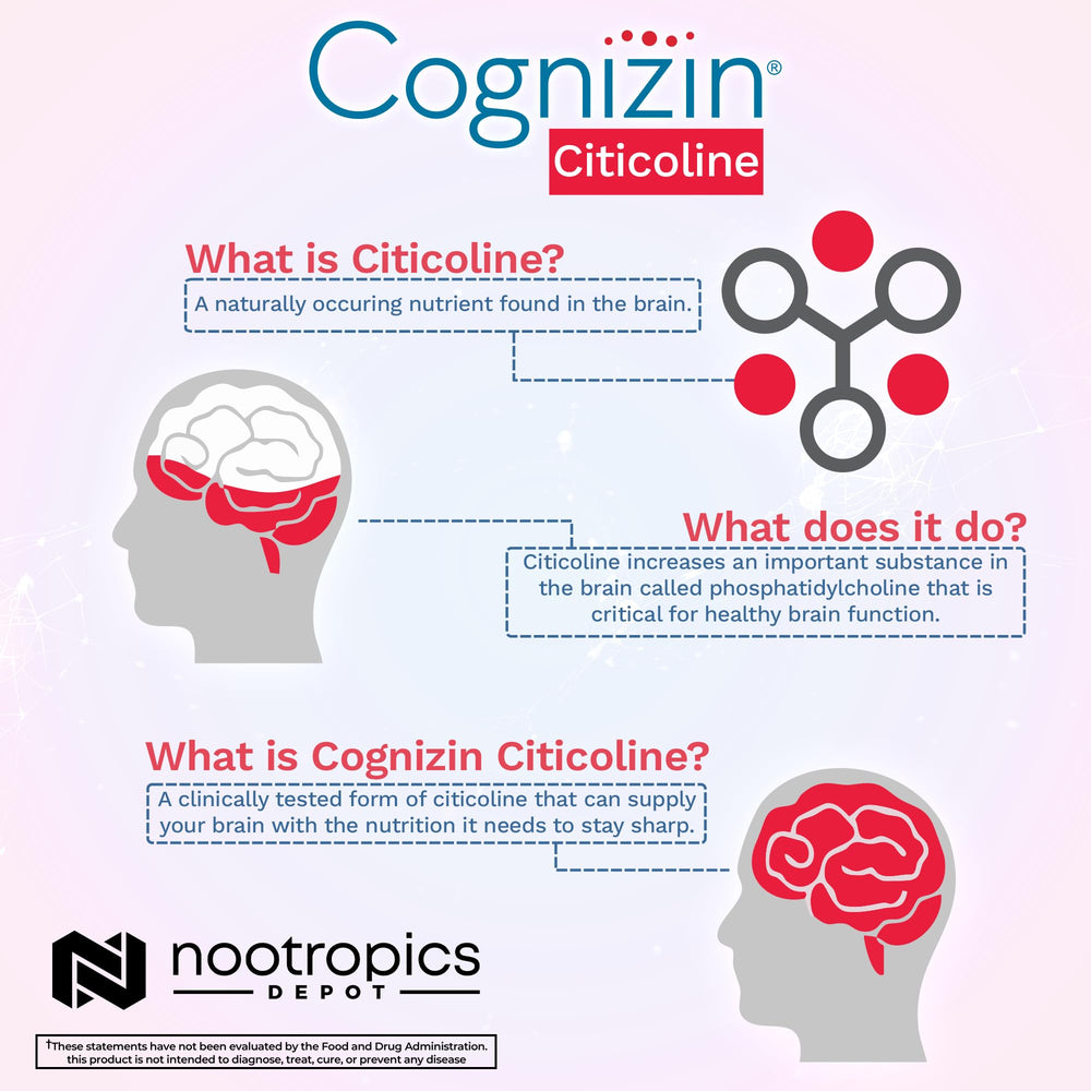 Nootropics Depot Cognizin packaging front highlighting brain health benefits.