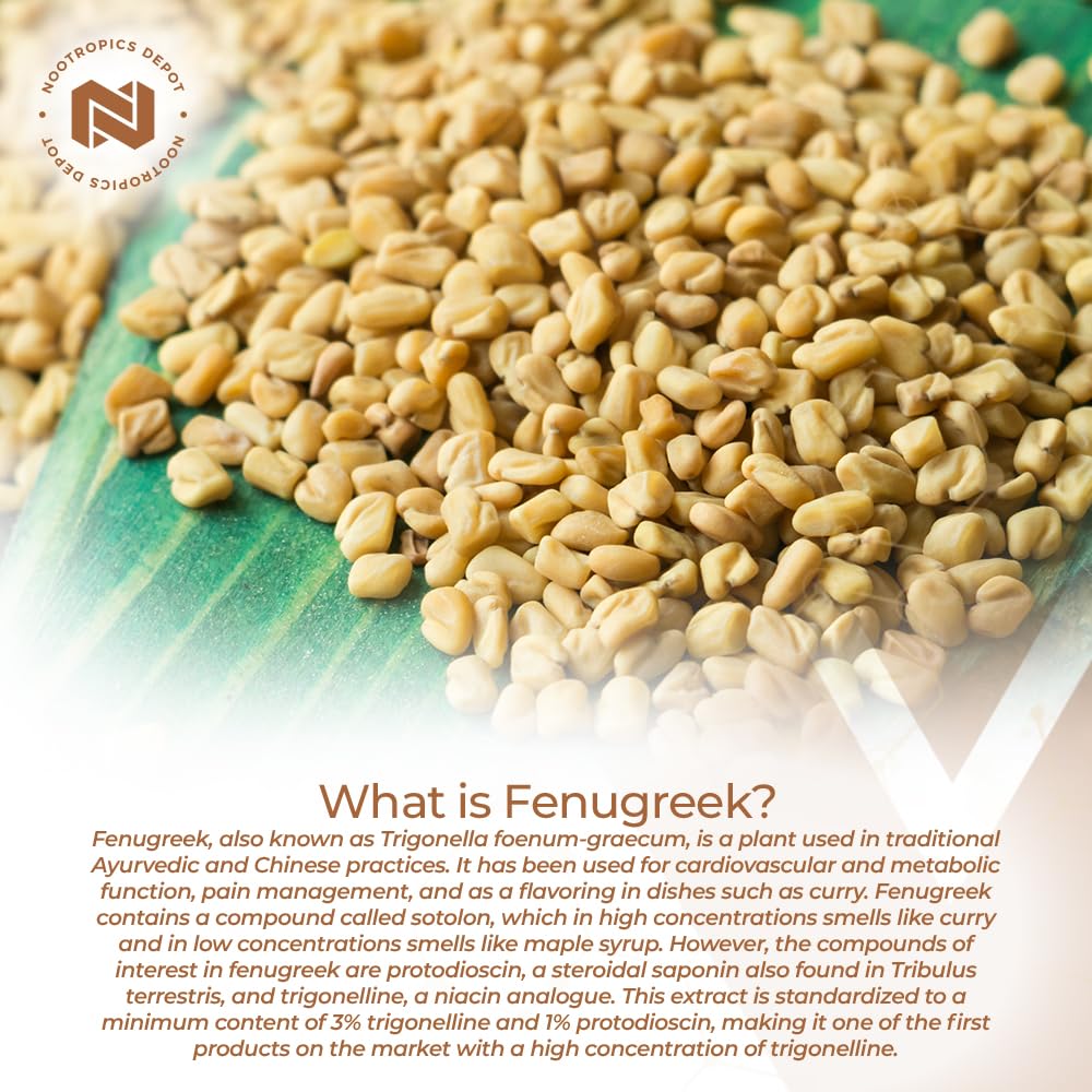 Nootropics Depot fenugreek extract label front signaling purity and potency.