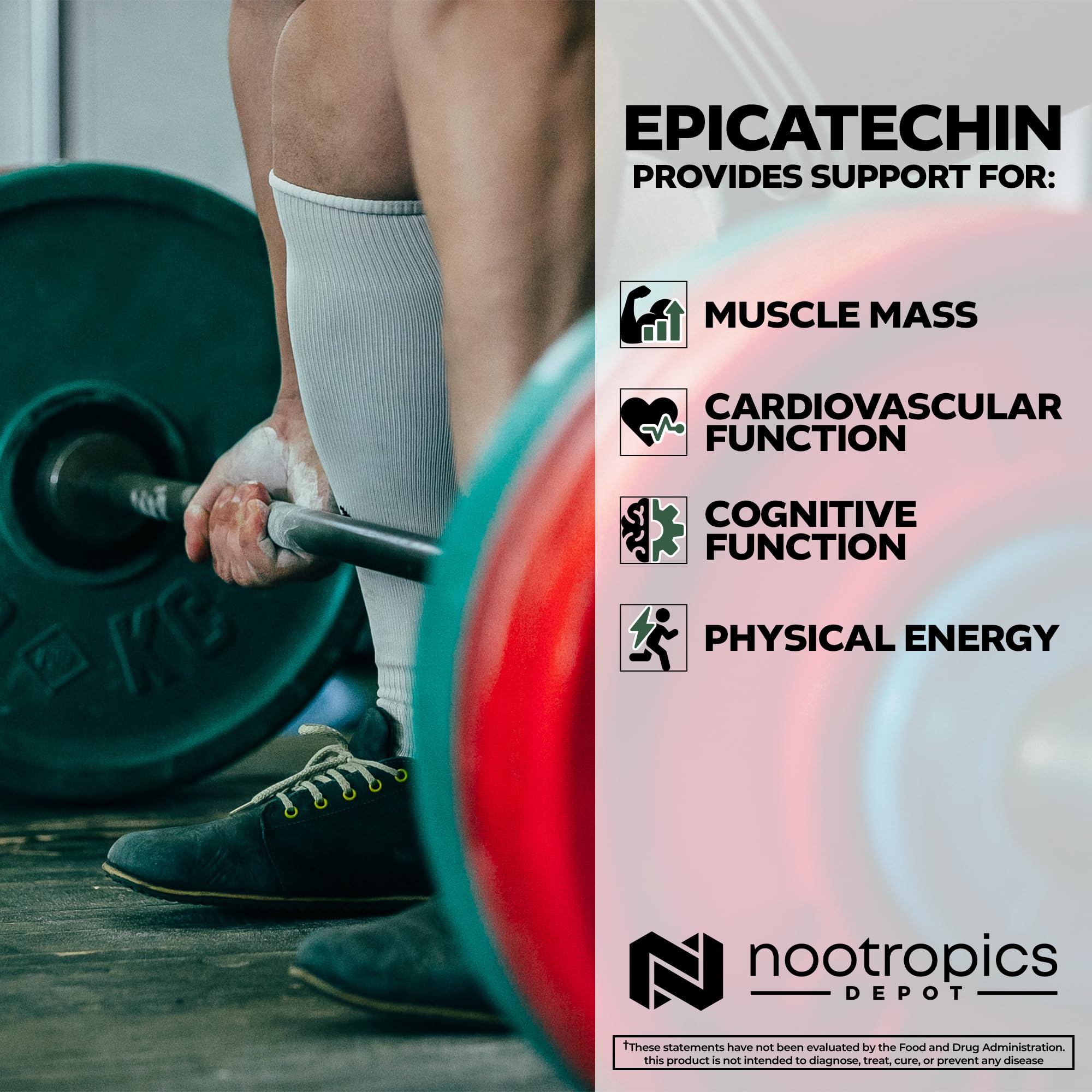 Green Tea Extract capsule image representing cognitive support potential.