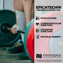 Green Tea Extract capsule image representing cognitive support potential.