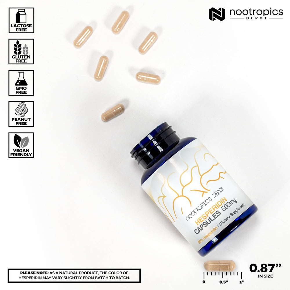 Nootropics Depot hesperidin capsules label detail, highlighting transparent ingredients and 90% citrus extract.