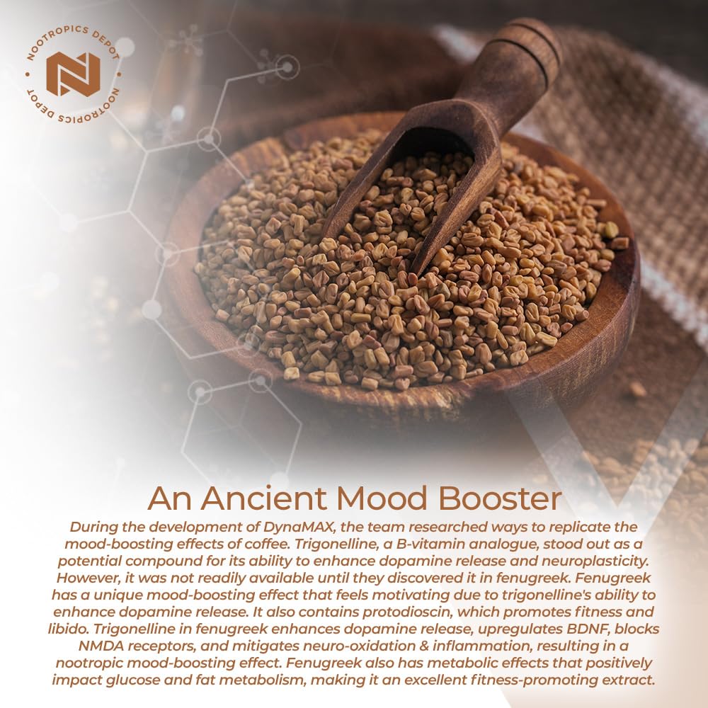 Nootropics Depot lab-tested seal ensuring quality control and safety.