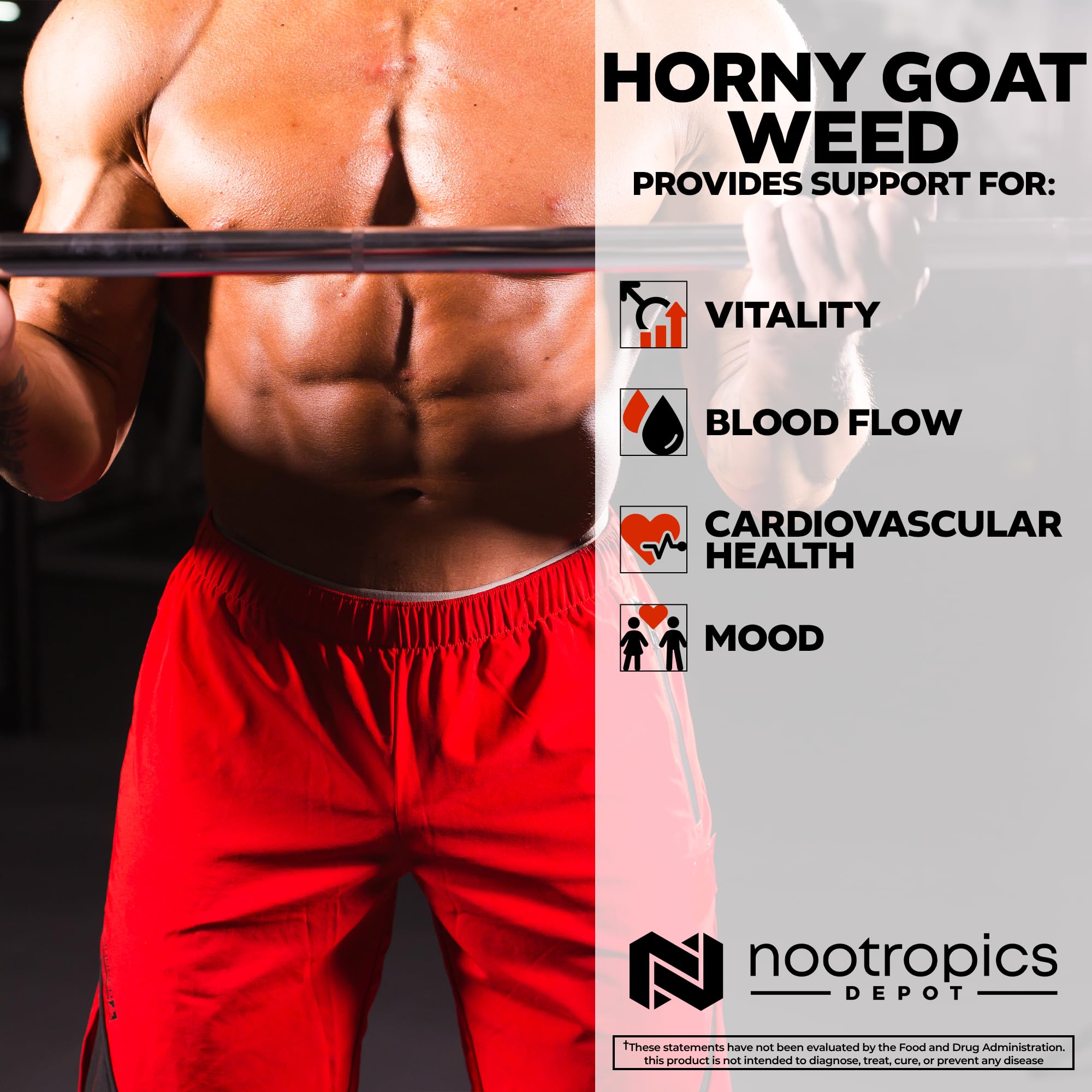 Nootropics Depot bottle label detail showcasing ingredients and usage information.