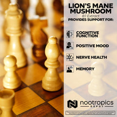 Nootropics Depot Lions Mane dual extract visual emphasizes broad bioactives.