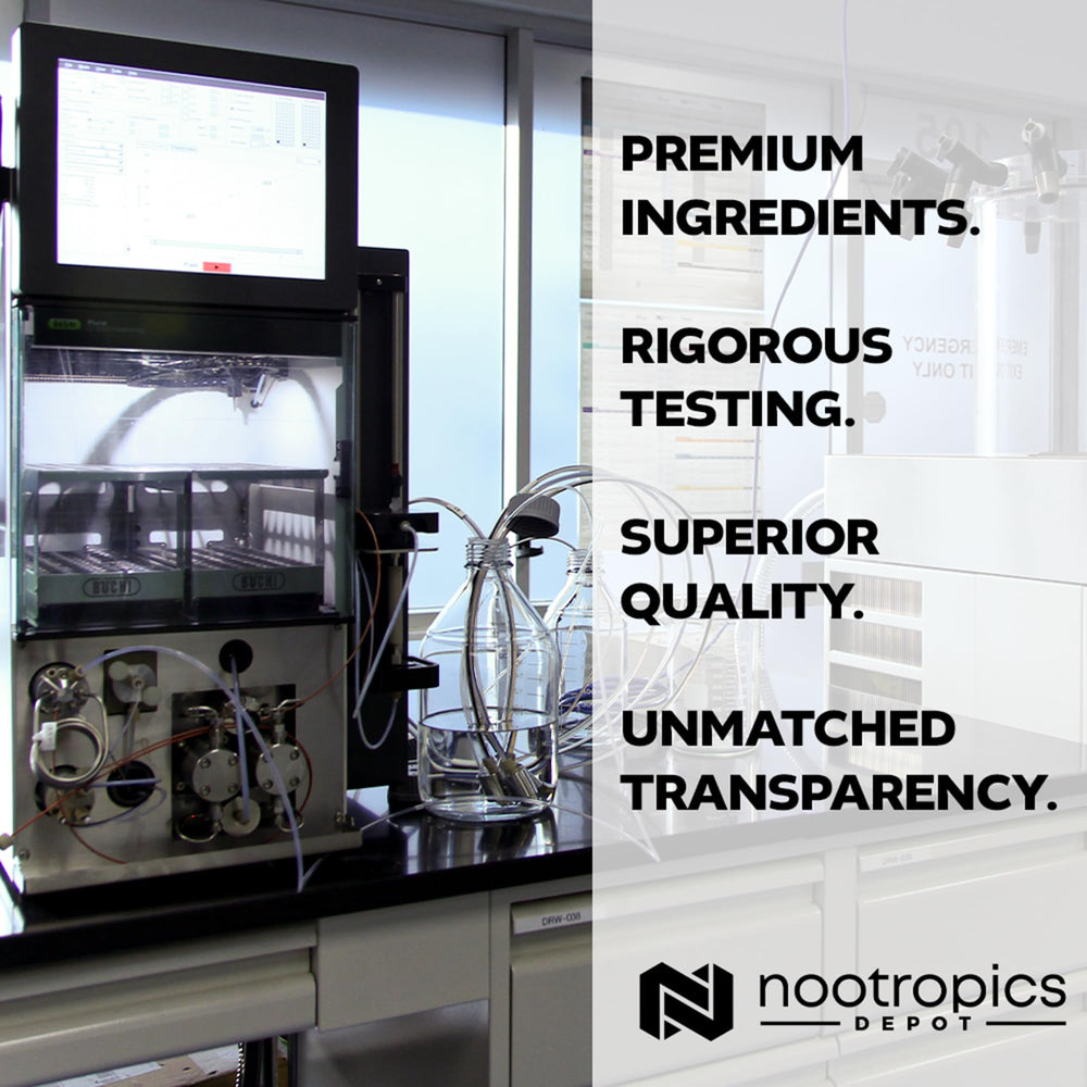 Nootropics Depot lab test certificate signals quality and purity.