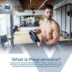 Nootropics Depot Pregnenolone quick-dissolve tablets dissolving action demonstrates fast absorption.
