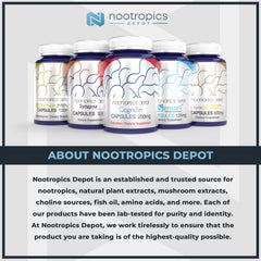Nootropics Depot Rhodiola Rosea capsules close-up shows brain health potential